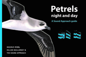 Petrels Night & Day